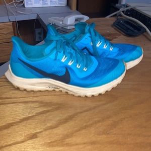 Nike trail Pegasus 6 women